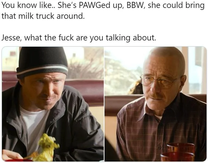 Jesse What Are You Talking About — Text-based meme with quoted dialogue at top followed by Jesse and Walter character images and Walter's confused response.