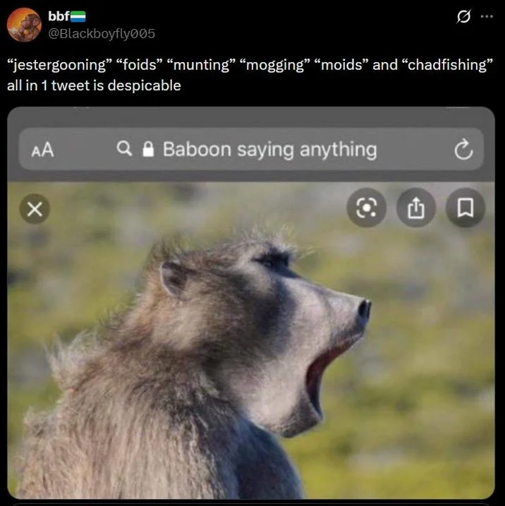 Critical tweet listing incel-adjacent slang terms including jestergooning with a baboon photo humorously critiquing the terminology.