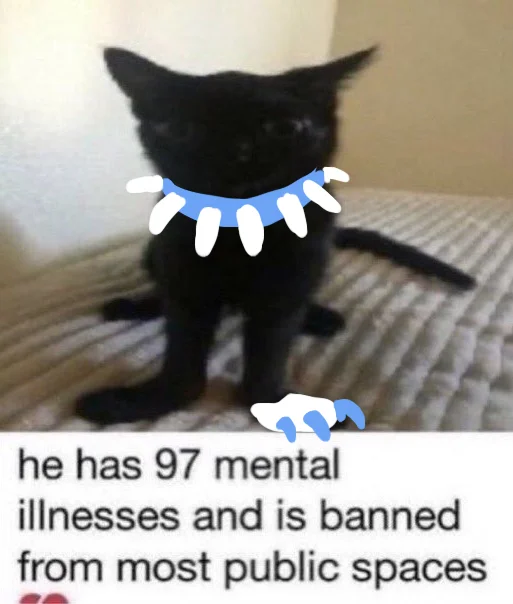 Jinx The Cat — Jinx photo with digital animated crying and watery eye effects overlaid on her face with joke text about mental illness.