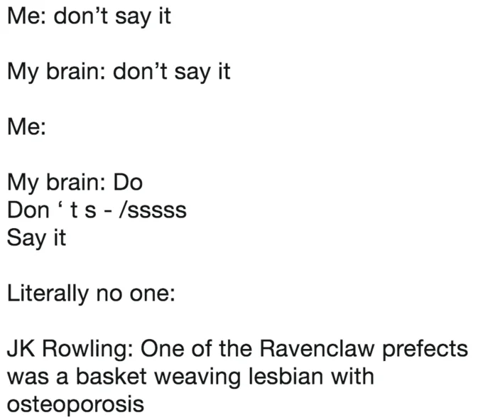 Nobody: — Text meme mixing 'don't say it' and 'literally no one' formats to mock JK Rowling Harry Potter lore