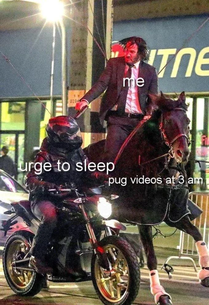 John Wick On a Horse — Relatable meme of John Wick on horseback labeled me versus urge to sleep and pug videos at 3 am.