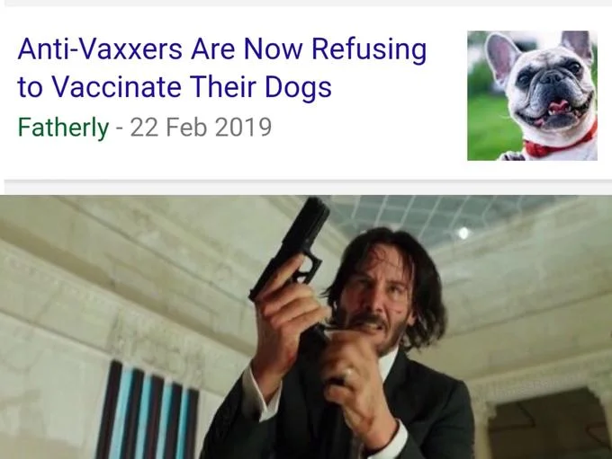 Inside Edition dog-shelter news clip above John Wick reloading his pistol