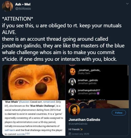 Viral Twitter warning post about Jonathan Galindo accounts and the Blue Whale Challenge