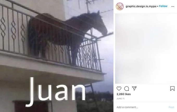 Juan (Horse on Balcony) — Instagram post screenshot of Juan horse meme with social media UI