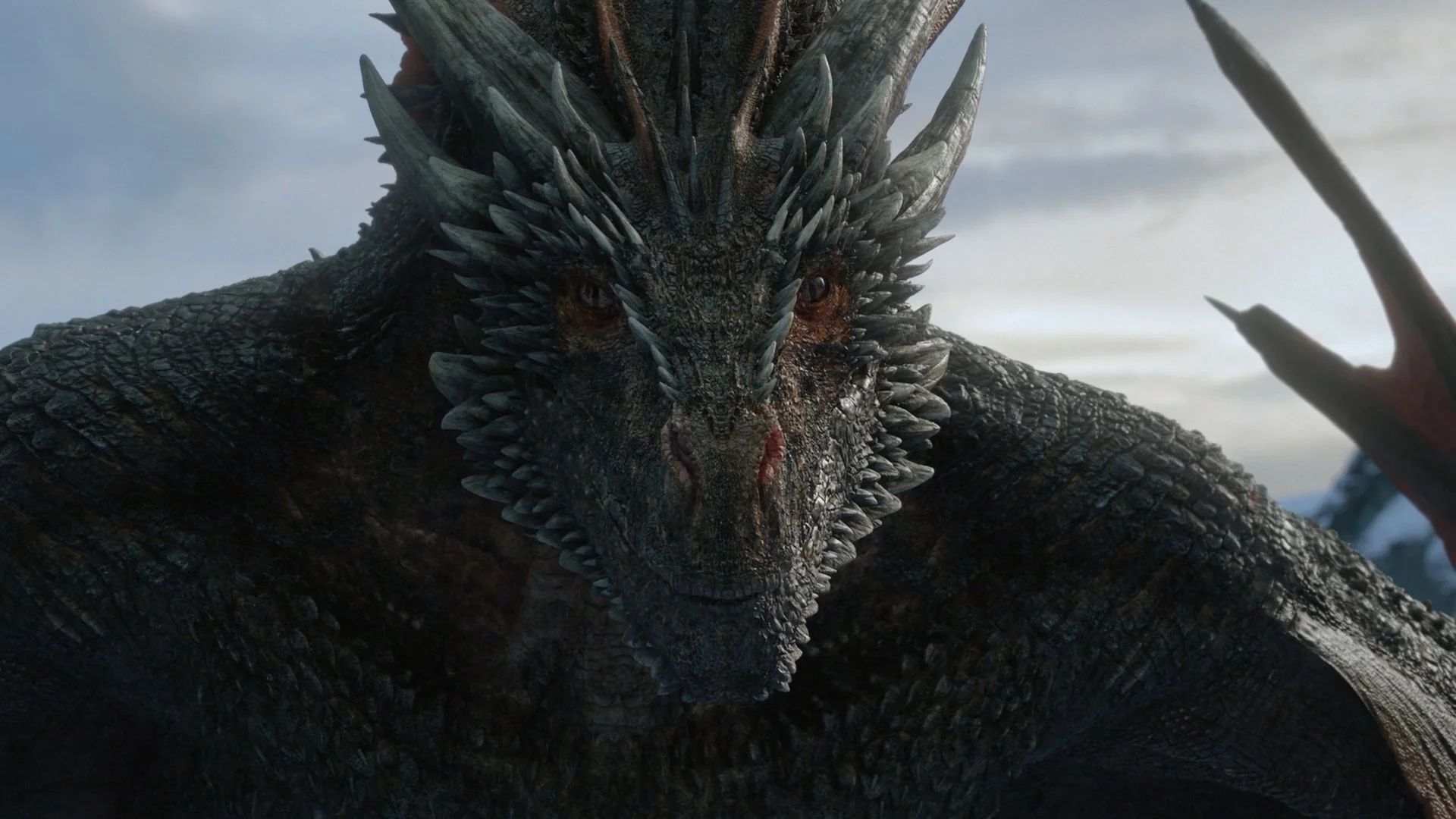 Judging Drogon — Close-up of Drogon the dragon from Game of Thrones staring with an intense, judgmental expression.