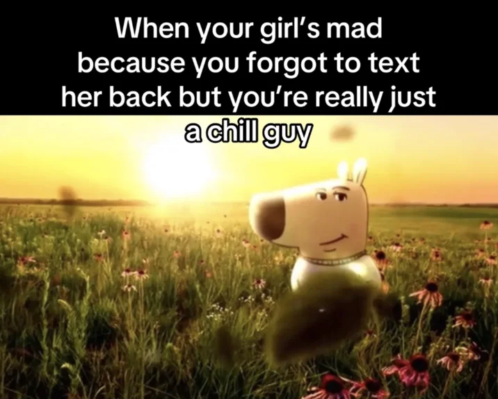 Just A Chill Guy — 3D rendered Chill Guy in meadow with text about staying chill when girlfriend is mad