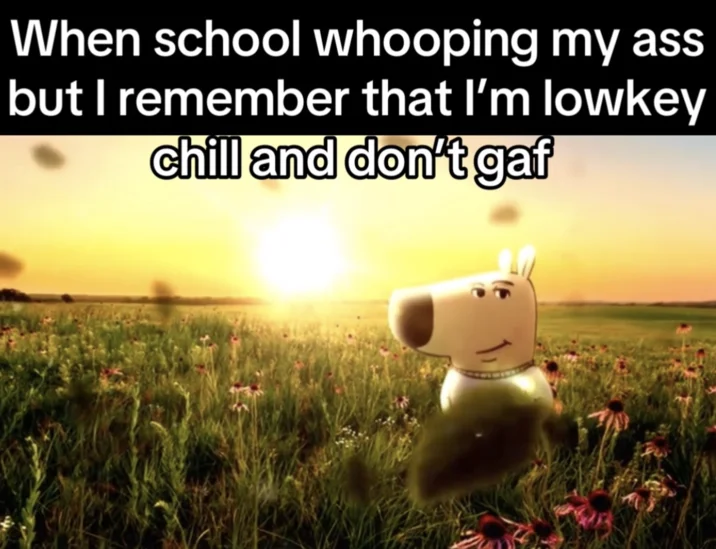 Just A Chill Guy — 3D rendered Chill Guy in meadow with text about staying chill during school stress