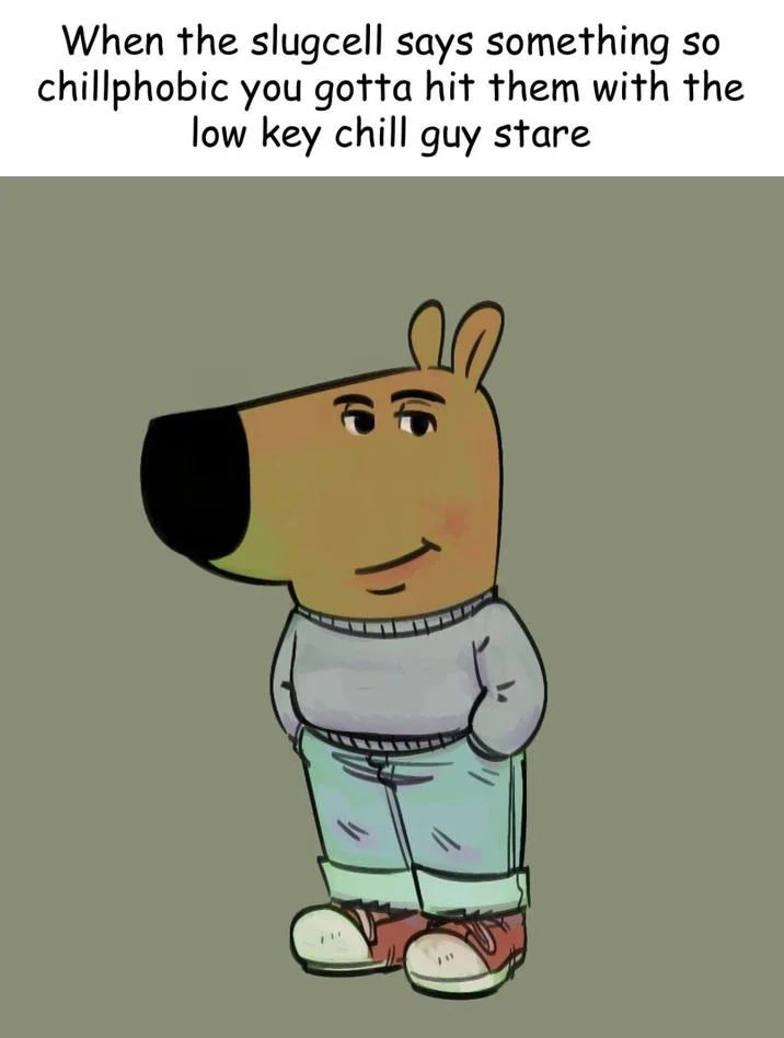 Just A Chill Guy — Chill Guy meme about responding to chillphobic comments with the low key chill guy stare