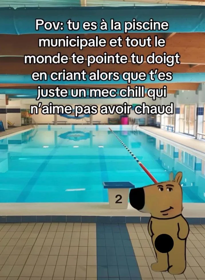 Just A Chill Guy — French meme with Chill Guy at swimming pool about being pointed at while staying chill