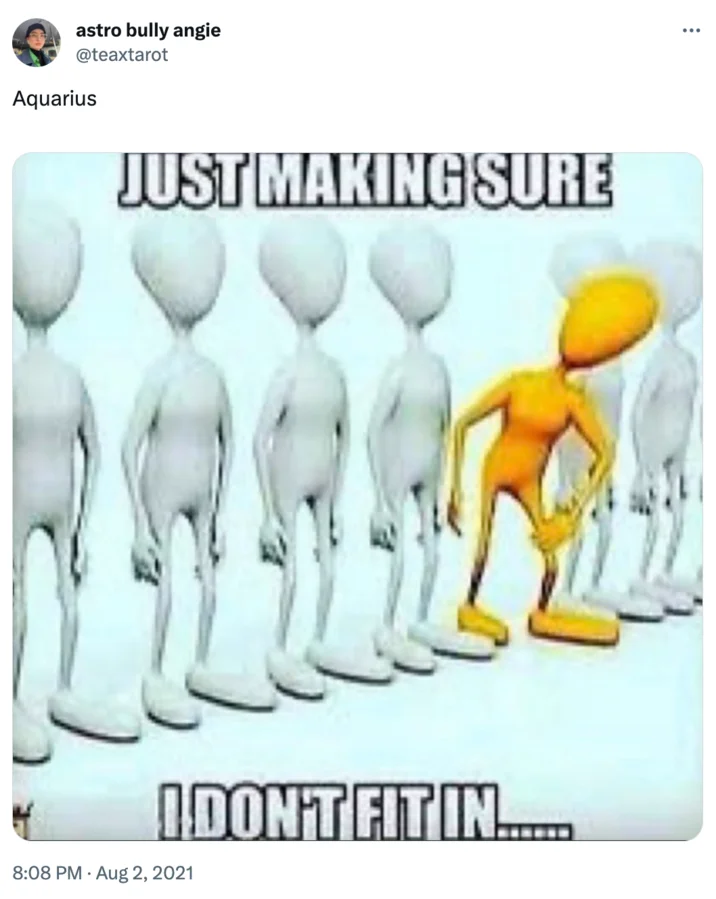 Just Making Sure I Dont Fit In — Just Making Sure I Don't Fit In meme example