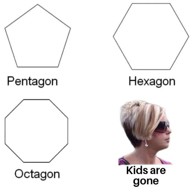 Four-panel geometry meme with polygons replaced by Karen bob haircut photo labeled 'Kids are gone.'