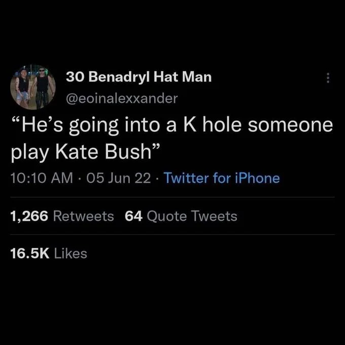 Kate Bushs Running Up That Hill — Tweet reading 'He's going into a K hole someone play Kate Bush'