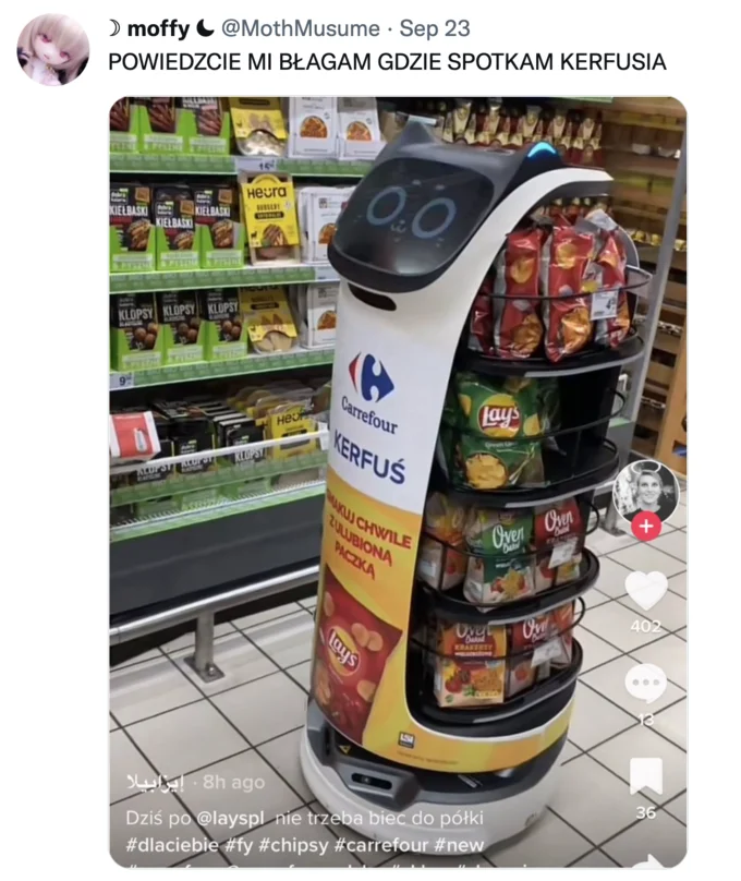 Social media post begging in Polish to know where to meet the Kerfus Carrefour chip-delivery robot.