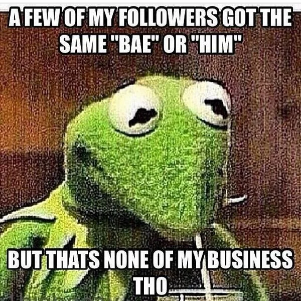 Kermit Sipping Tea — Kermit drinks from white cup with text making college-educated spelling critique.