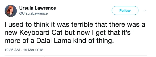 Tweet screenshot comparing new Keyboard Cat to Dalai Lama succession of spiritual leaders.