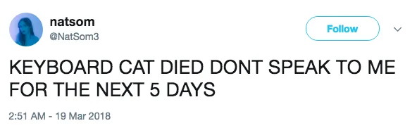 Tweet screenshot from March 19, 2018 reading 'KEYBOARD CAT DIED DONT SPEAK TO ME FOR THE NEXT 5 DAYS.'