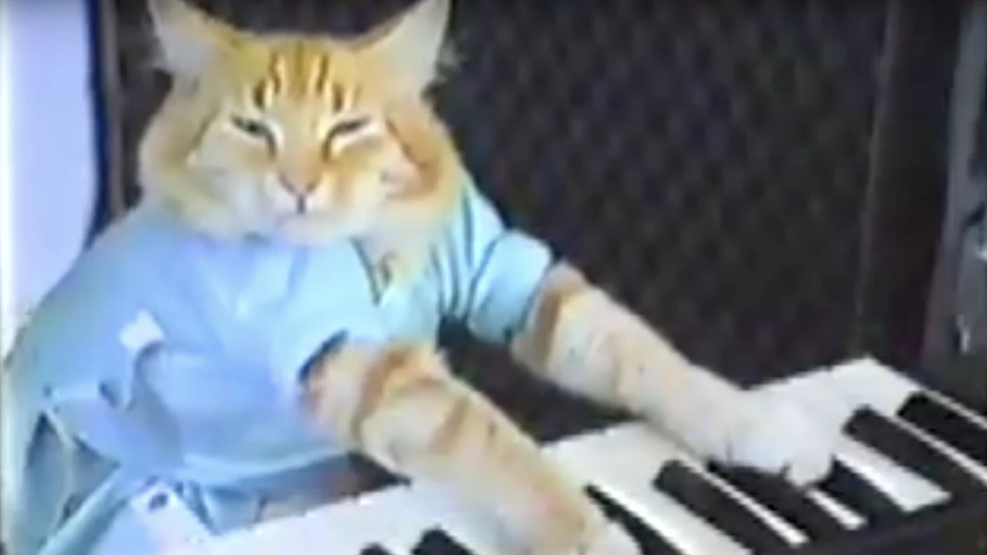 Keyboard Cat — VHS-quality video still of Fatso in blue shirt with paws extended over electronic keyboard with eyes half-closed.