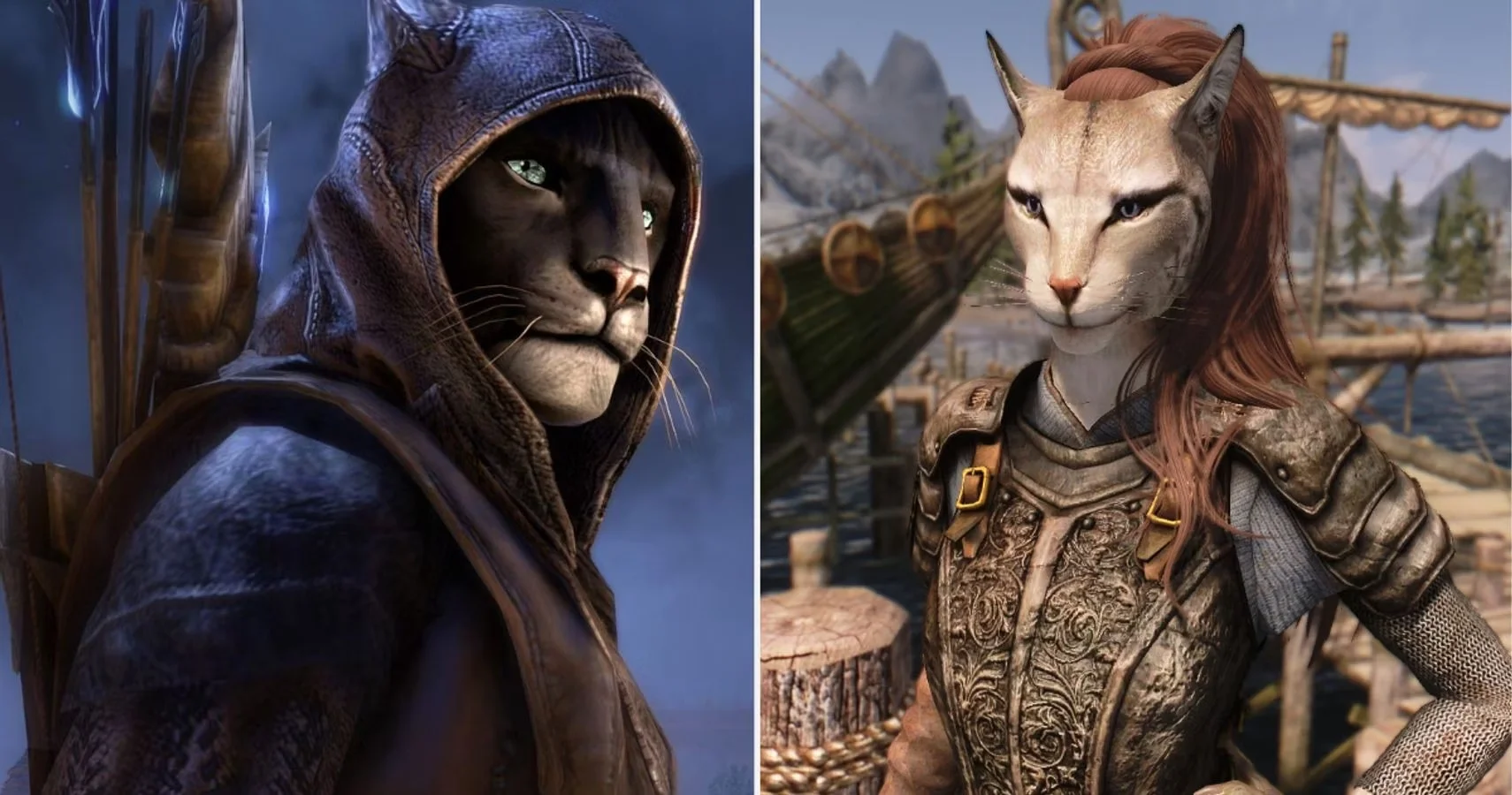 Two Khajiit characters from The Elder Scrolls, one in a hood and one in engraved armor