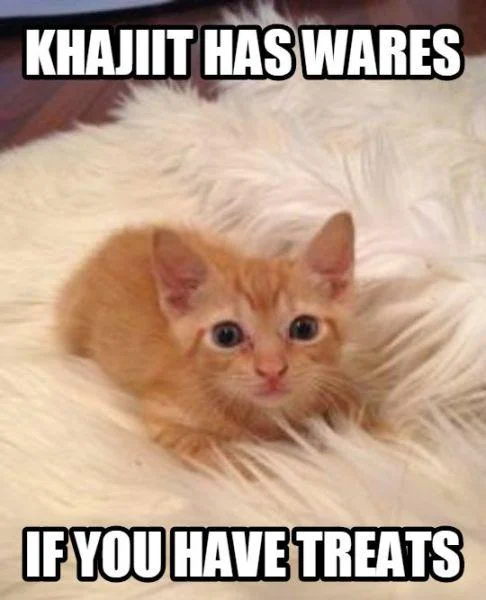 Skyrim Khajiit character with caption 'Khajiit has mods if you have coin'