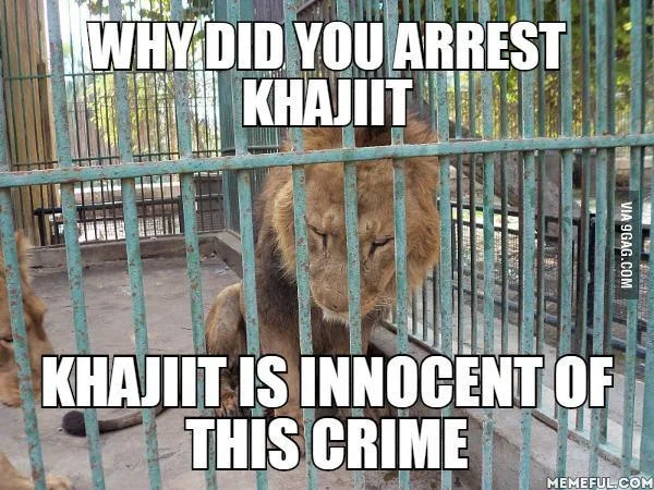 Police officers carrying a cougar with Khajiit innocence caption