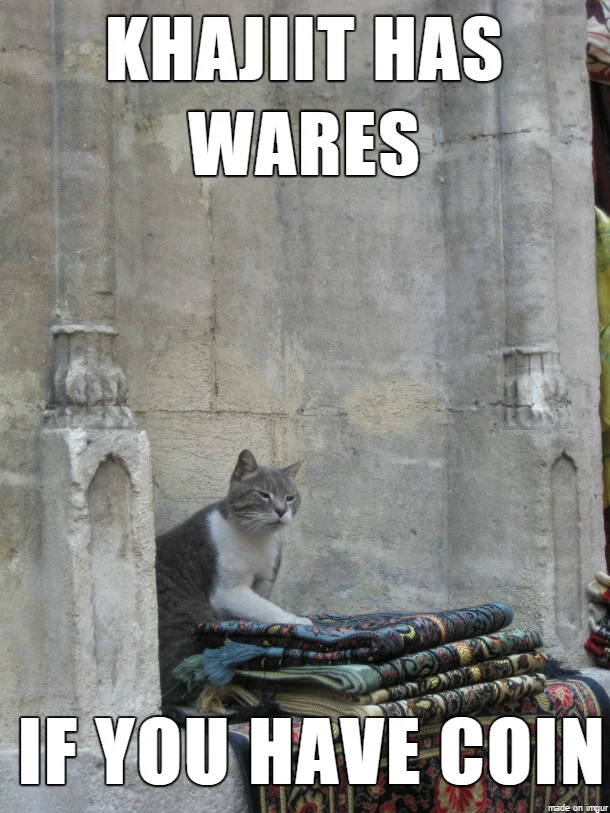 Orange kitten on white rug with caption 'Khajiit has wares if you have treats'