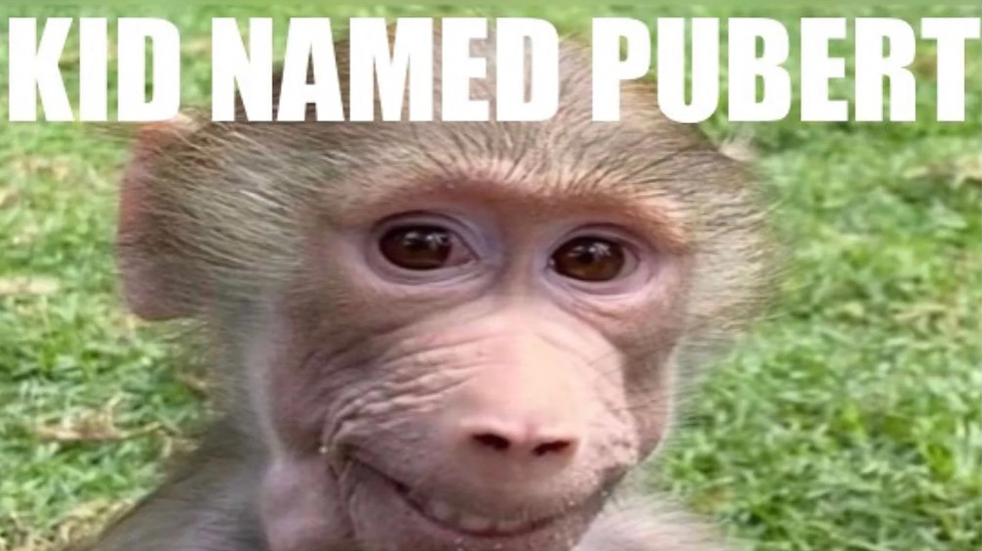 Kid Named Pubert: What to Know