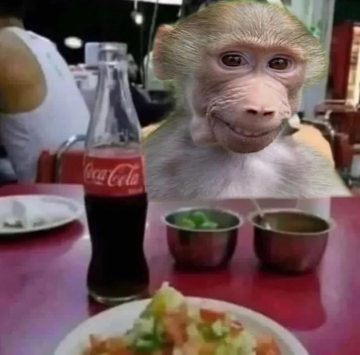Kid Named Pubert — Pubert baboon photoshopped at table with Coke and food