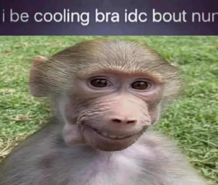 Kid Named Pubert — Pubert baboon with 'i be cooling bra idc bout nun' caption