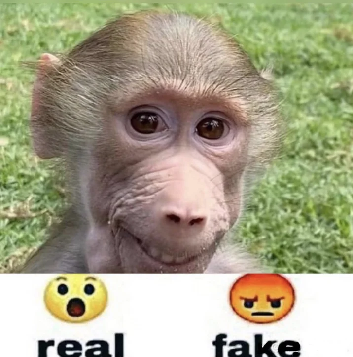 Kid Named Pubert — Pubert baboon above real versus fake emoji reaction chart