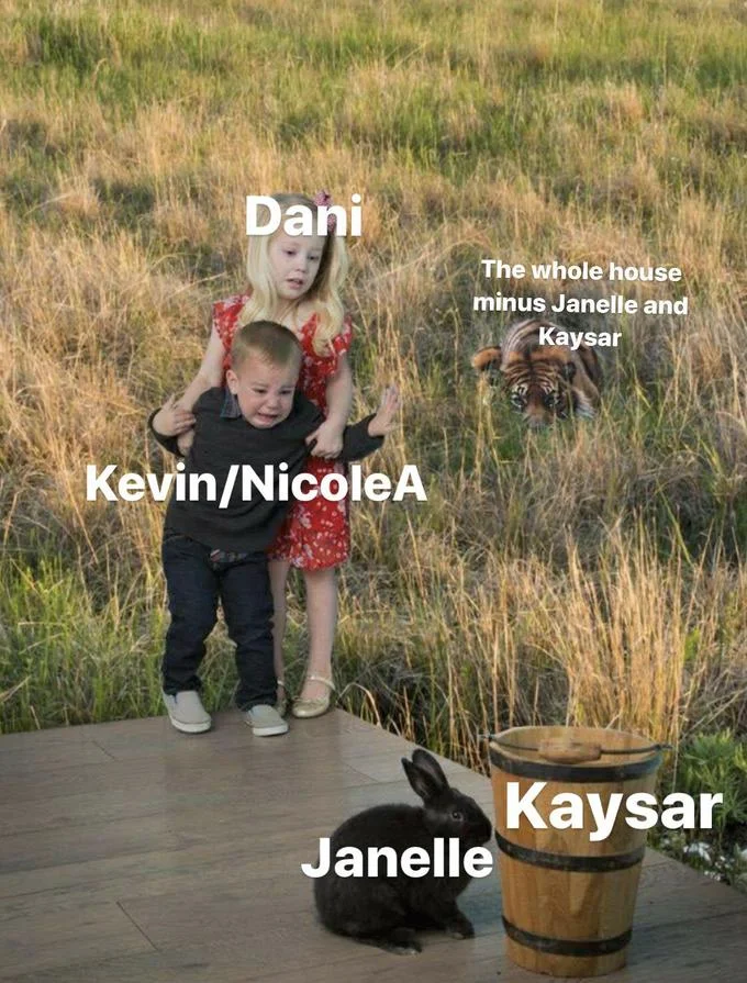 Kids Scared of Rabbit — Scared kids and rabbit composited into a field with a tiger, labeled with Big Brother contestant names.