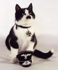 Kitler — Black and white cat wearing monocle and formal decorative attire with mustache marking visible.