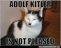 Black and white cat with Hitler-mustache marking with text overlays 'ADOLF KITLER' and 'IS NOT PLEASED.'