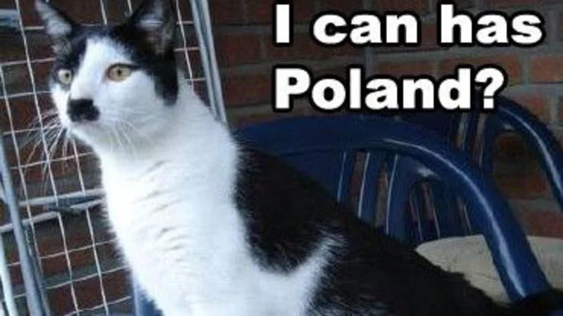 Kitler — Black and white cat with iconic mustache-like marking under nose against neutral light background.
