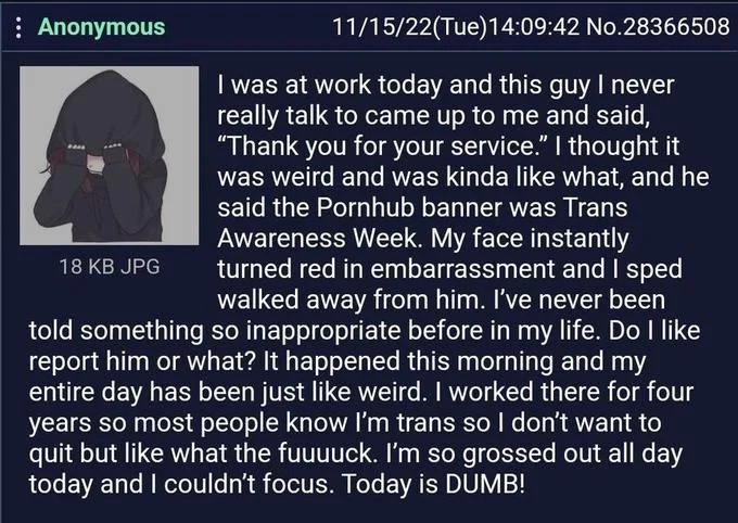 4chan post with Kurumi Nanase avatar hiding in hoodie about trans awareness week