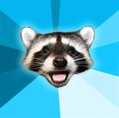 Blank Lame Pun Coon meme template featuring a grinning raccoon