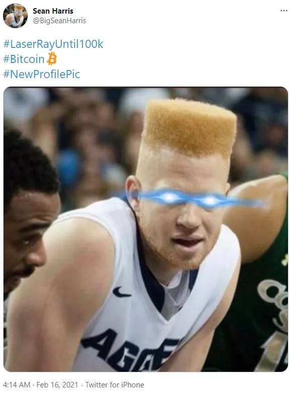 Laser Eyes Bitcoin Trend Laserrayuntil100K — A Twitter post by Sean Harris showing a profile picture with blue laser eyes effect applied.