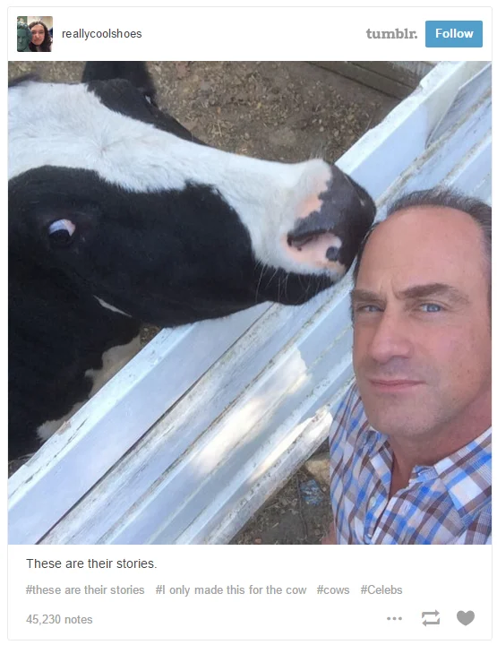 Law and Order — Tumblr post of Christopher Meloni taking a selfie with a cow