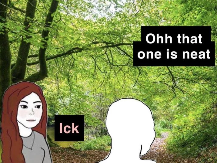 Least Attractive Hobbies for Men According to Women — Wojak meme in forest with woman saying Ick and silhouette man saying Ohh that one is neat.