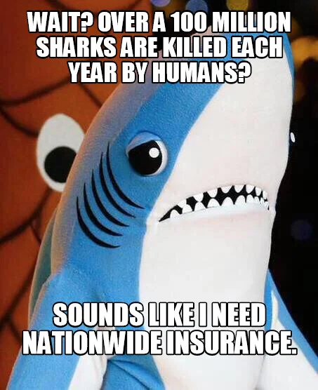 Close-up of Left Shark costume with meme text about 100 million sharks killed yearly and needing Nationwide insurance.