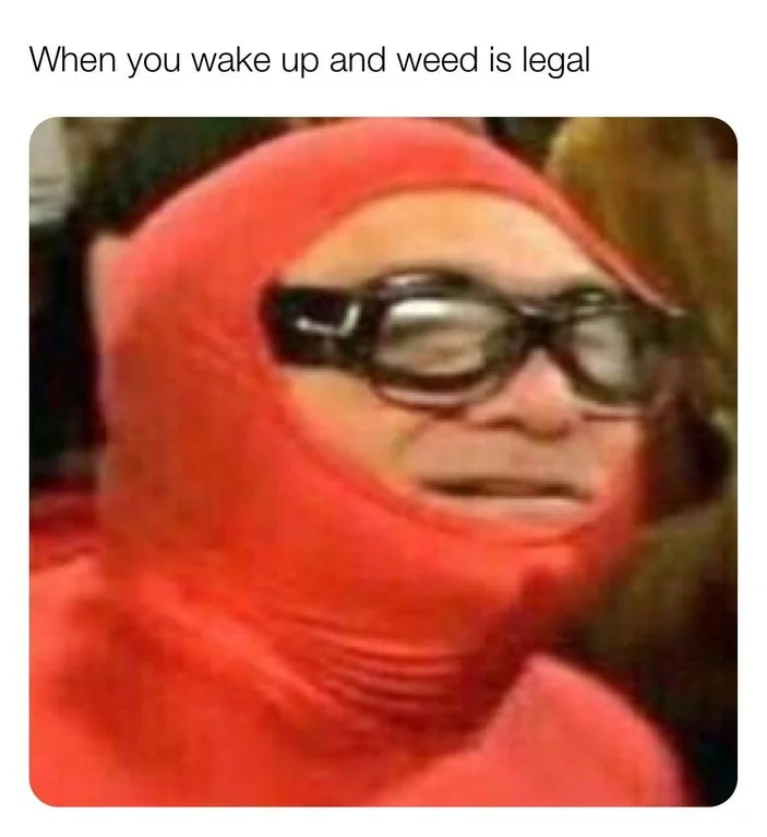 Legalization of Marijuana in Canada — Person in red hood and dark goggles with caption when you wake up and weed is legal