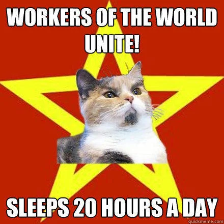 Lenin Cat meme with workers unite slogan and joke about sleeping 20 hours a day.