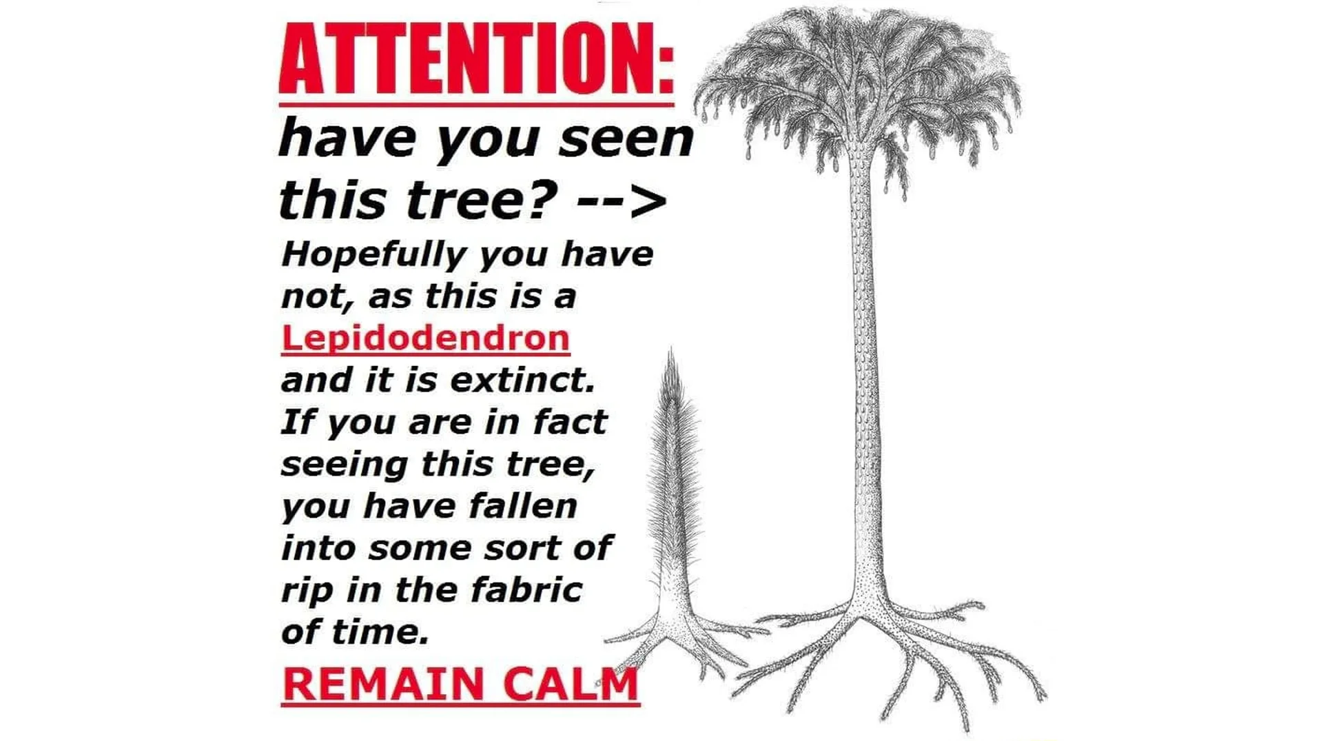 Lepidodendron Tree Attention Have You Seen This Tree — Meme image with bold red 'ATTENTION: have you seen this tree?' text beside a black and white