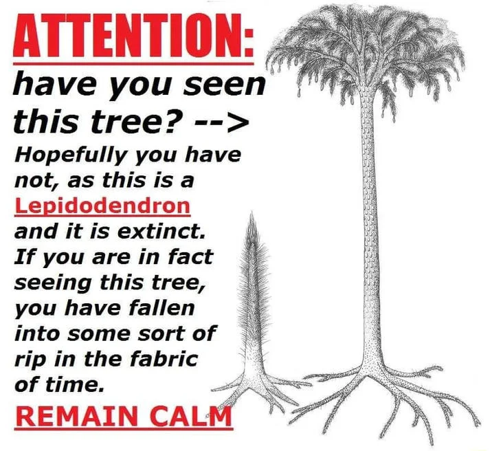 Lepidodendron Tree Attention Have You Seen This Tree — Cropped version of the Lepidodendron 'Attention: have you seen this tree?' meme with red warning text