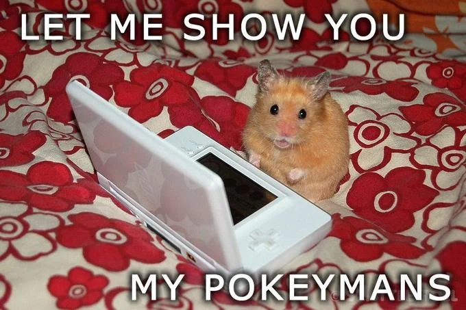 Let Me Show You My Pokemans — Hamster next to a Nintendo DS on a floral blanket with caption 'Let me show you my pokeymans'