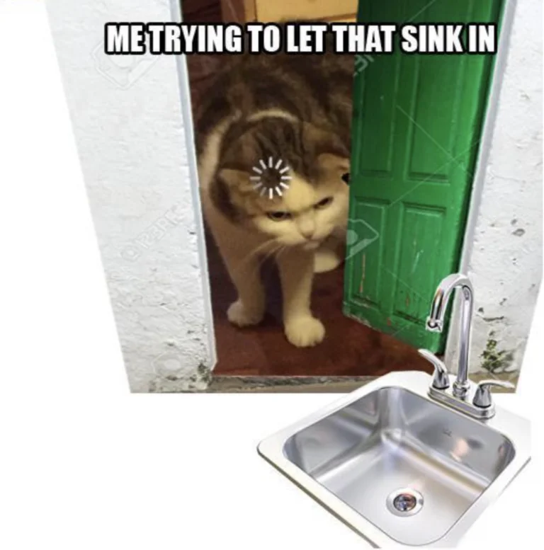 Let That Sink In — Composite meme with cat peeking through doors and sink with pun wordplay variations