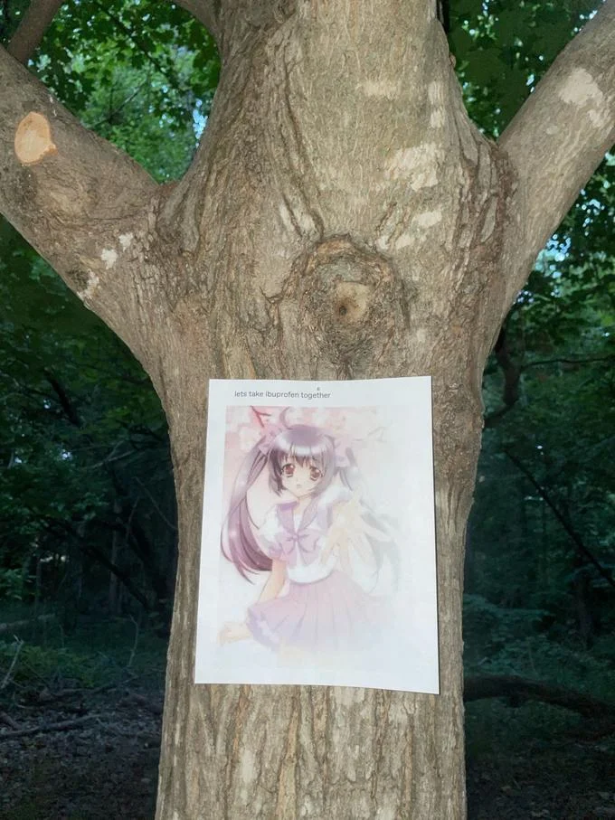 Let's Take Ibuprofen Together — Printed meme post nailed to a tree trunk outdoors