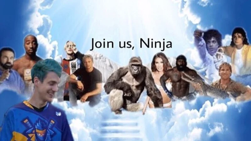 Ninja heaven composite meme from Ligma hoax