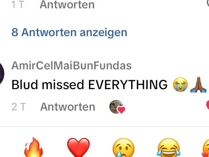 Lil Bro Was Born In 2024 — Social media comment reading 'Blud missed EVERYTHING' with crying and praying emojis
