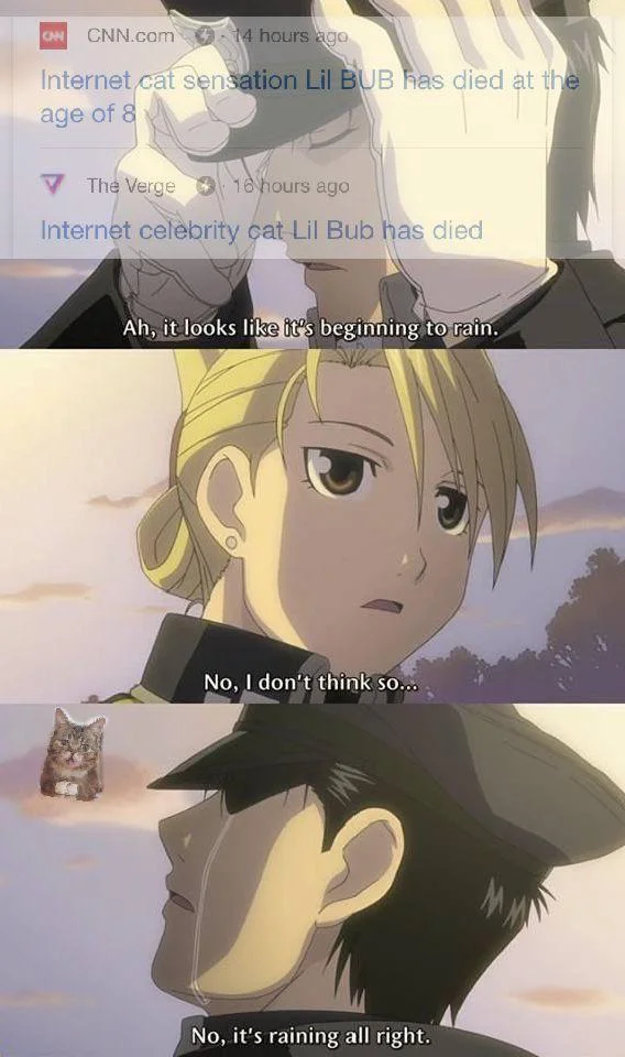 Fullmetal Alchemist raining scene meme mourning Lil Bub's death