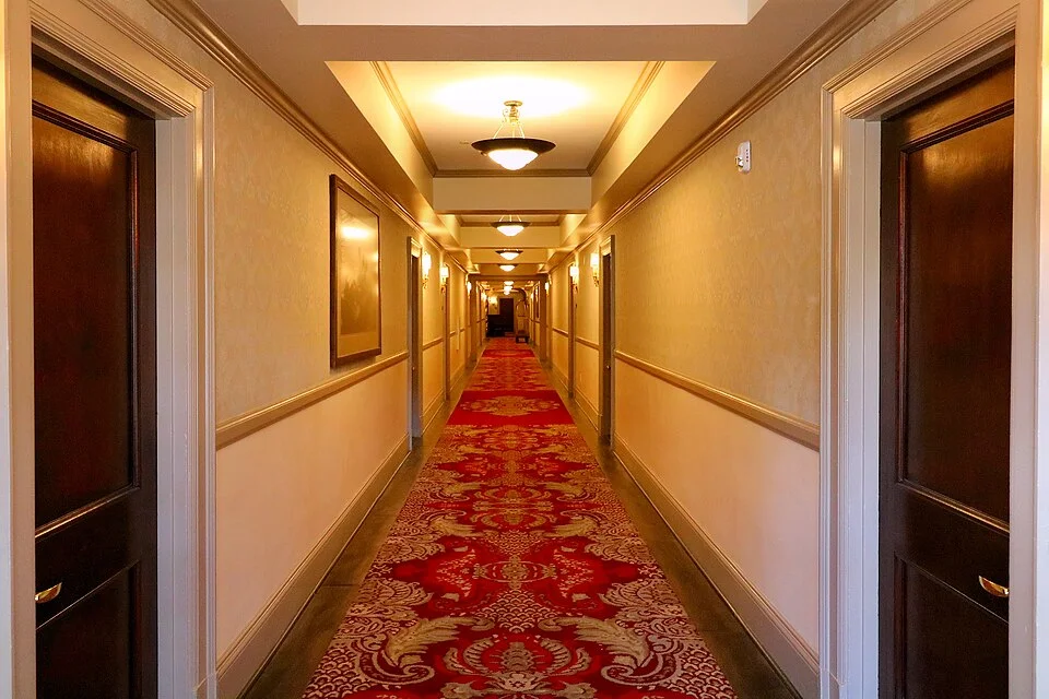 Liminal Spaces — Perfectly centered hotel or office building hallway with red patterned carpet, wood-paneled walls, recessed ceiling lights, and wooden doors